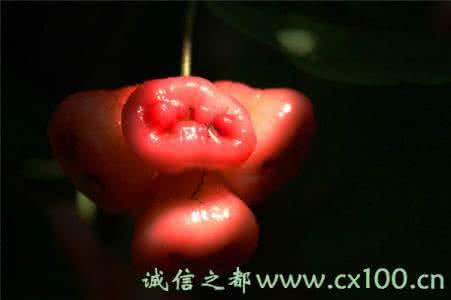 蛇王宠妃不稀罕 各种稀罕水果大普及——看看你吃过几种 见过几种*