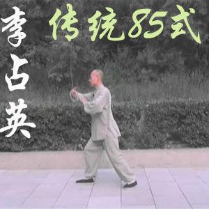 李占英85式杨式太极拳 传统杨式太极拳八十五式 永年李占英精讲