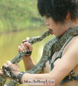 周公解梦梦见打蛇 周公解梦梦见打蛇 梦见别人打蛇_周公解梦梦见打蛇