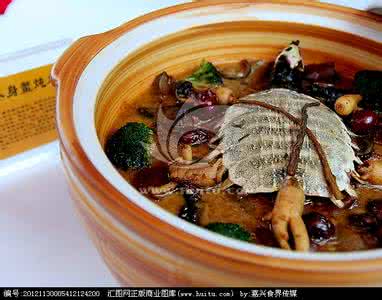 羊鳖 鳖炖羊