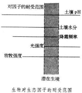 什么是光限制因子 限制因子