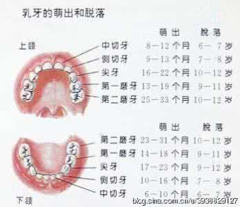 5岁宝宝换牙注意事项 换牙期注意事项 宝宝换牙期要注意什么?