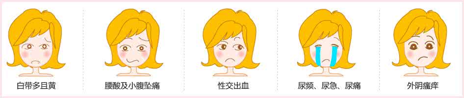 开发自测标准 自测：你的白带符合以下标准吗