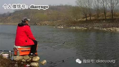 钓鲫鱼技巧口诀 【钓技】板鲫爆护的“十字箴言”！