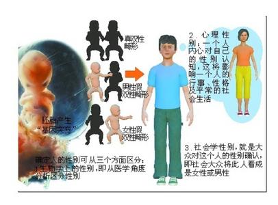 理性情绪行为疗法 如何化解负面情绪 行为塑造法,化解篮球小子的坏情绪