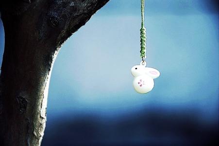 超脱电影表达的是什么 人生无法超脱的三个字