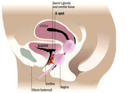 物理缩阴球使用方法 盘点一下缩阴球的具体使用方法