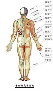 平衡针灸38个图解 平衡针灸图解