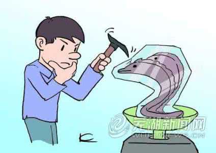 市民买到鱼中鱼 市民支招教你买到便宜菜