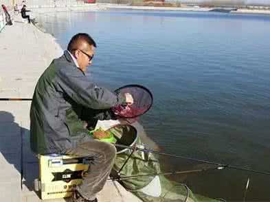 钓鱼小药老鼠药用法 冬季钓鱼（药米）用法