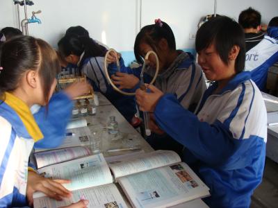 如何提高课堂教学效率 如何提高课堂教学效率 提高文言文课堂教学效率的策略