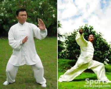 太极拳的招式 太极拳的流行招式有哪些