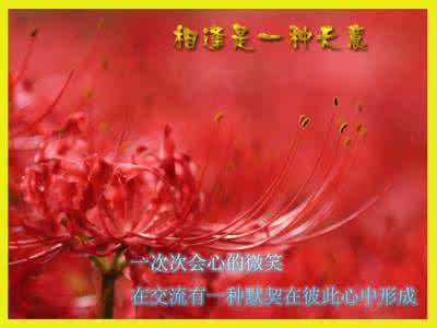 相逢是一种缘歌曲 相逢是一種天意