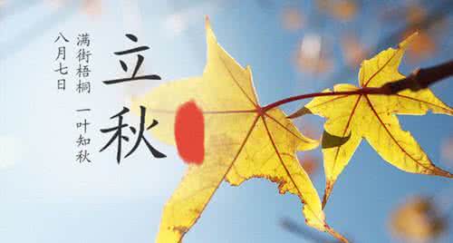 趣味英语谚语 立秋谚语趣味多