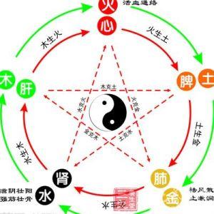 五行生克乘侮 五行乘侮图 五行的生克乘侮
