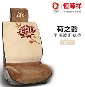 超声波汽车座垫清洗 一本超漂亮的座垫书