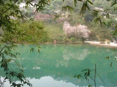 春水春池满春时春草生 【春水春池满,春时春草生】为什么孩子要多念春天的诗词?