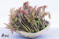 滋阴健脾养肝的药 清明节是几号 7种蔬菜滋阴养肝去风热