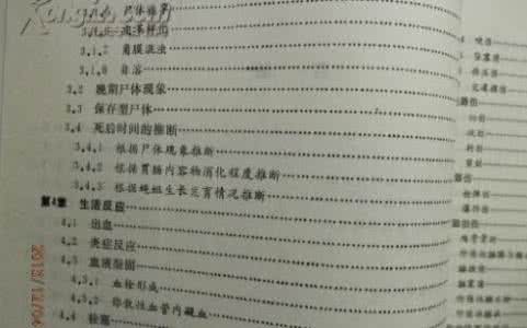 个人述职报告怎么写 怎样写个人述职报告