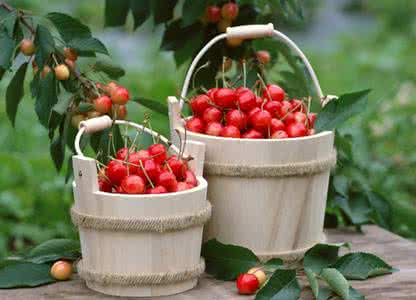 樱桃的营养价值 樱桃的营养价值 樱桃的营养价值 樱桃的食用价值