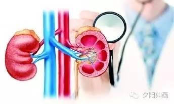 糖尿病肾病鉴别诊断 别让糖尿病“偷袭”了你的肾!