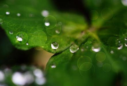 春雨润心田 飘落在心田的春雨