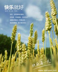 随心散文 随心散文：要有多幸运，才能遇到一个合适的人