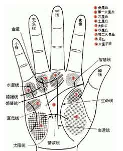 男人的左手的手相图解 图解手相