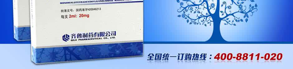 兴奋性氨基酸转运蛋白 申捷抑制兴奋性氨基酸