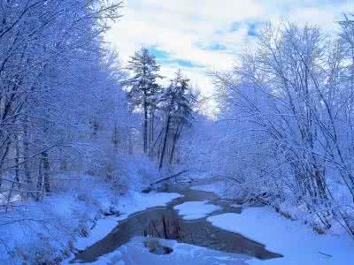 描绘大雪节气的古诗 节气丨大雪：关于雪的古诗美了整个冬天！