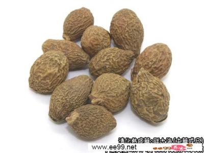 胖大海的功效与作用 胖大海的功效和作用 胖大海图片