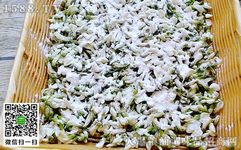 槐花茶的制法 槐花的食法