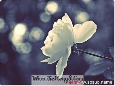 梦见亲人去世 梦见亲人去世 梦见亲人离去