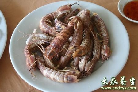 初期孕妇能吃虾姑吗 孕妇能吃虾蛄吗
