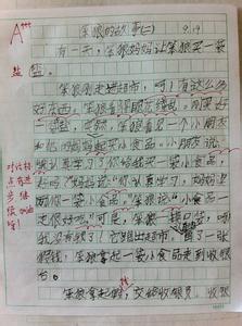 小学二年级优秀作文 小学二年级优秀作文59篇