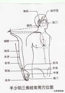 五脏六腑 五脏六腑老年斑出现的部位及防治  文档