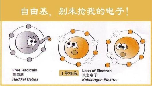 自由基是什么 自由基 自由基是什么