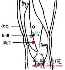 胃痛按摩手上见效快图 胃痛时按摩梁丘穴（图）