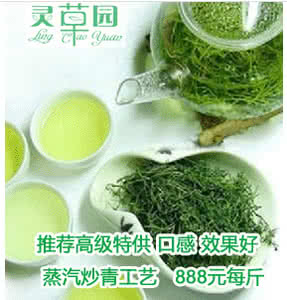 绞股蓝泡水喝的功效 绞股蓝泡水喝的功效 绞股蓝泡水喝的功效 能降三高能防癌