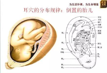 耳朵保健 耳朵有哪些保健的方法 中医告诉你耳朵隐藏的秘密