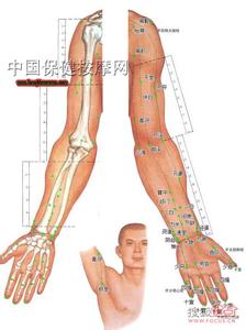 小穴位大作用 随时随地保健康