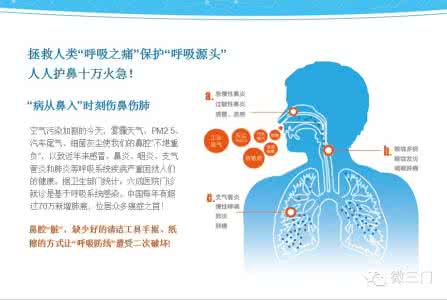 养肺润肺的食物 护肺全攻略让你轻松养肺远离感冒