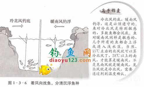 图解水库如何选择钓位 如何选择一个好的钓位
