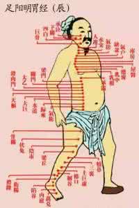 肝经经络图 图文 十四经络终于弄明白了！(此文不收藏可惜了)
