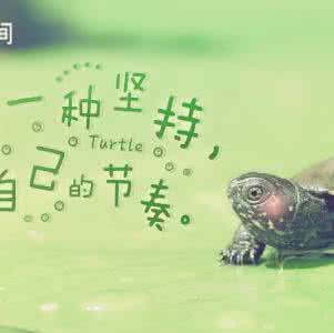 软弱的我与强大的她们 忍耐与软弱的哲理
