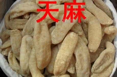 天麻有什么药用价值 天麻什么人不能吃 天麻的药用价值