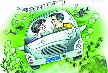 如何学网络推广 汽车事故自救技巧，学了紧急情况用来保命