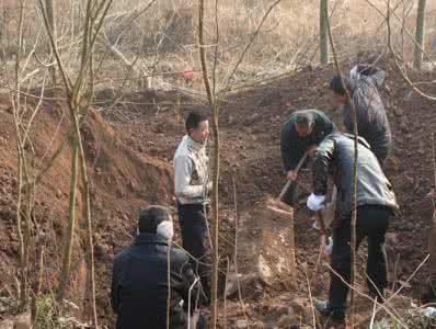 迁坟挖出蛇怎么办 迁坟挖出蛇蜕皮，开棺后全村人都吓跪了