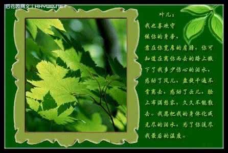 树枝和树叶的对话 树跟叶的对话【图文】