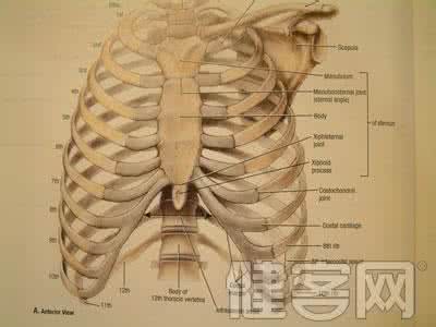 肋骨骨折怎么办 肋骨骨折 肋骨骨折怎么办